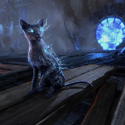 Elder Scrolls Online
